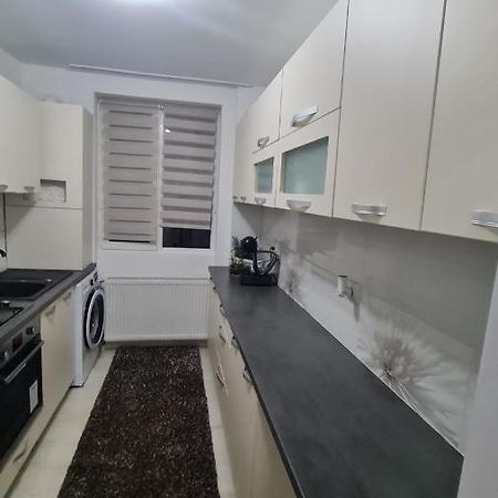 Apartament Violeta Gura Humorului Eksteriør bilde