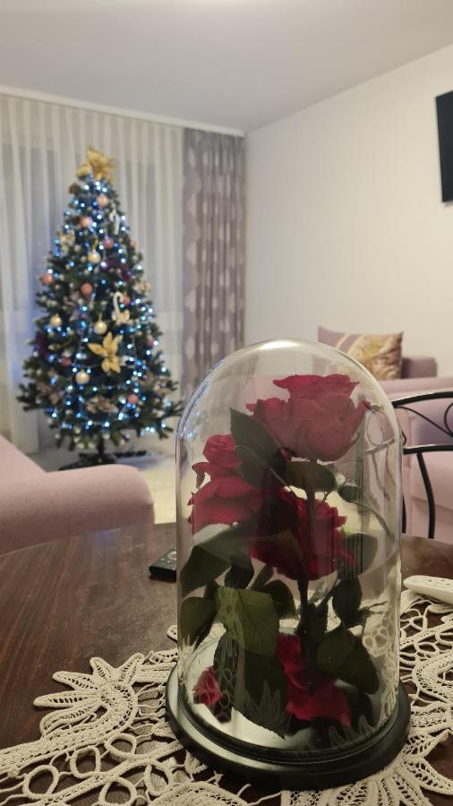 Apartament Violeta Gura Humorului Eksteriør bilde