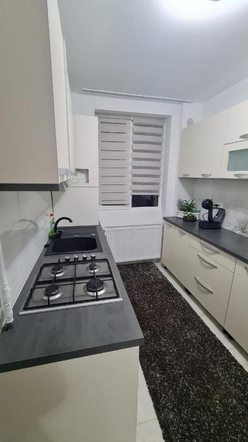 Apartament Violeta Gura Humorului Eksteriør bilde